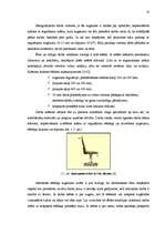 Referāts 'Biroja mikrovides veidošana', 10.