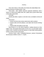 Referāts 'Darba ar datoru ietekme uz cilvēka veselību', 3.