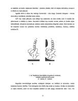 Referāts 'Darba ar datoru ietekme uz cilvēka veselību', 10.