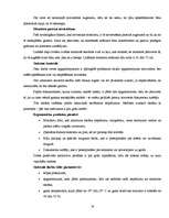 Referāts 'Darba ar datoru ietekme uz cilvēka veselību', 16.