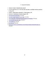 Referāts 'Darba ar datoru ietekme uz cilvēka veselību', 28.