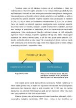 Referāts 'Veselīga vide', 6.