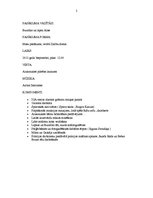 Paraugs 'Zinību dienas pasākums', 2.