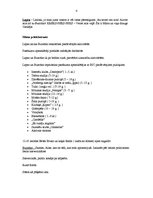 Paraugs 'Zinību dienas pasākums', 4.