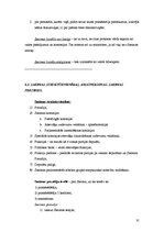 Referāts 'Konstitucionālās tiesības. 2.daļa ', 31.