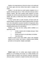 Referāts '10.klašu adaptācija vidusskolā', 17.