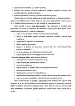 Prakses atskaite 'Bauskas rajona tiesa', 7.