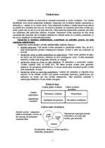 Konspekts 'Kritiskās domāšanas metodes pedagoģijā', 5.