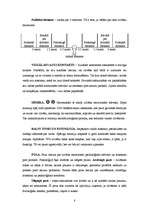 Konspekts 'Kritiskās domāšanas metodes pedagoģijā', 8.