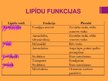 Prezentācija 'Lipīdi', 3.