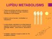 Prezentācija 'Lipīdi', 4.