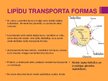 Prezentācija 'Lipīdi', 5.