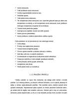 Referāts 'Personāla atlase', 6.