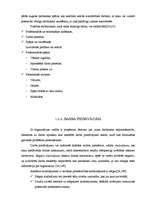 Referāts 'Personāla atlase', 7.