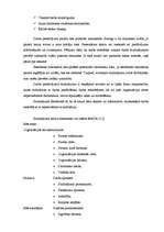 Referāts 'Personāla atlase', 9.