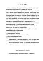 Referāts 'Personāla atlase', 24.