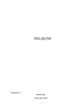 Referāts 'Nodarbība pirmsskolas vecuma bērniem', 5.