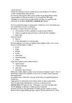 Prezentācija 'Futūrisms', 10.