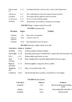 Paraugs 'Treniņa plāns', 2.