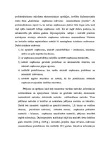 Diplomdarbs 'Izdevumu samazināšanas projekts ražošanas uzņēmumā', 6.