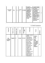 Diplomdarbs 'Izdevumu samazināšanas projekts ražošanas uzņēmumā', 14.