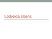 Prezentācija 'Lodveida zibens', 1.
