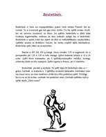 Referāts 'Basketbols', 1.
