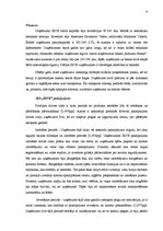 Referāts 'Tirgus izpēte SIA "Irve"', 6.