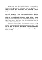 Referāts 'Tirgus izpēte SIA "Irve"', 13.