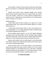 Referāts 'Tirgus izpēte SIA "Irve"', 17.