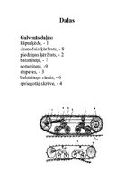 Konspekts 'Kāpurķēžu pārvadsistēma', 4.
