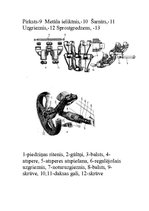 Konspekts 'Kāpurķēžu pārvadsistēma', 5.