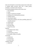 Eseja 'Dāvanas uzņēmējdarbībā', 3.