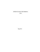 Eseja 'Grāmatas ceļš līdz šodienai', 1.