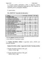 Prakses atskaite 'Finanšu prakses atskaite', 13.