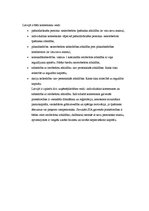Konspekts 'Galvenais privātajās tiesībās', 3.