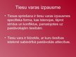 Prezentācija 'Tiesu varas jēdziens un konstitucionālais regulējums', 7.