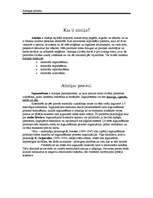 Referāts 'Atmiņas procesi', 1.