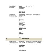 Konspekts 'Stundas konspekts dabaszinībās 2.klasei. Skaņu daudzveidība', 2.