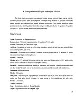 Referāts 'Slenga vietvārdi Rīgā', 24.