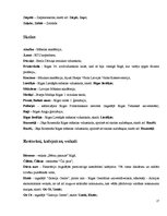 Referāts 'Slenga vietvārdi Rīgā', 25.