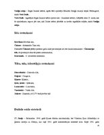 Referāts 'Slenga vietvārdi Rīgā', 27.