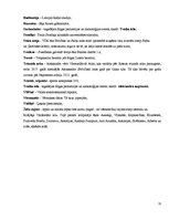 Referāts 'Slenga vietvārdi Rīgā', 29.