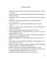 Referāts 'Slenga vietvārdi Rīgā', 31.