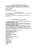 Konspekts 'Eiropas integrācijas vēsture ', 13.