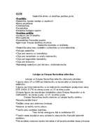 Konspekts 'Eiropas integrācijas vēsture ', 14.