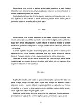 Referāts 'Ikdienas tērps lietišķajā pasaulē', 12.