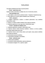 Prakses atskaite 'Prakses atskaite grāmatvedībā', 19.