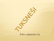 Prezentācija 'Tuksneši', 1.