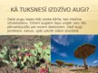 Prezentācija 'Tuksneši', 3.